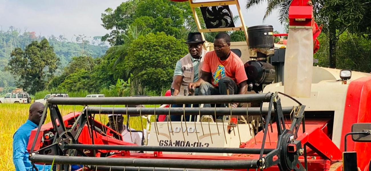 Liberia's Agricultural Minister inspecting a local rice farm in Bong Mines, Bong County.