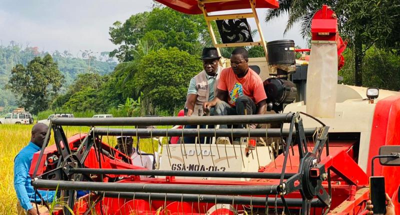 Liberia's Agricultural Minister inspecting a local rice farm in Bong Mines, Bong County.